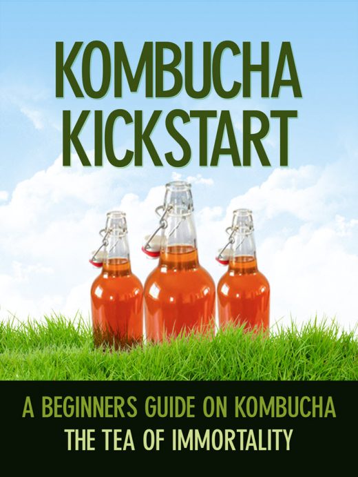 Kombucha Kickstart.