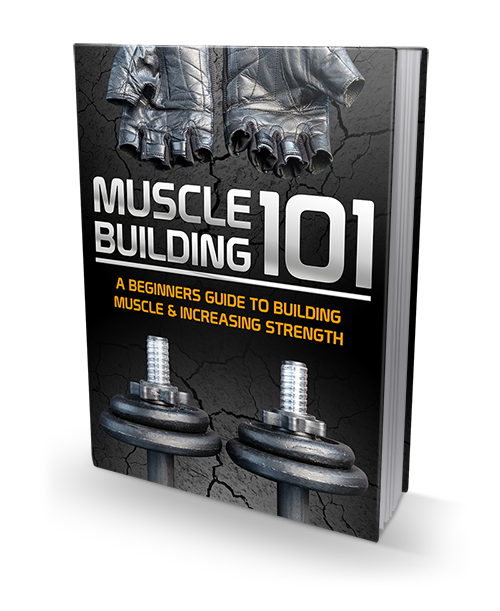 Muscle building 101