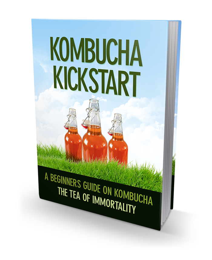 Kombucha Kickstart.